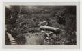 Thumbnail image of item number 1 in: '[Photograph of Japanese Gardens in San Antonio, Texas]'.