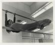 Photograph: [Photograph of Gymnast on Uneven Bars]