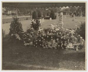 [Photograph of the Grave of Mary Alice Guthrie]