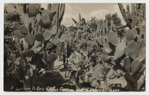 [Postcard of Pirtle's Cactus Garden]