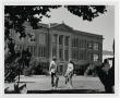 Photograph: [Photograph of Students in Front of Old Main]