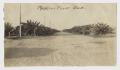 Primary view of [Photograph of McAllen-Pharr Road]