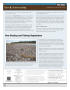 Thumbnail image of item number 2 in: 'Reel Lines, Issue Number 32, September 2012'.
