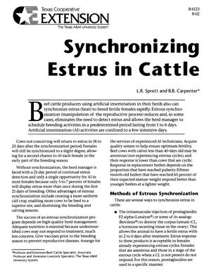 Synchronizing estrus in cattle