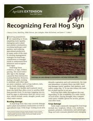 Recognizing feral hog sign