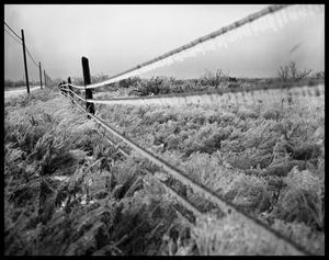 Ice on Barbed Wire Fence