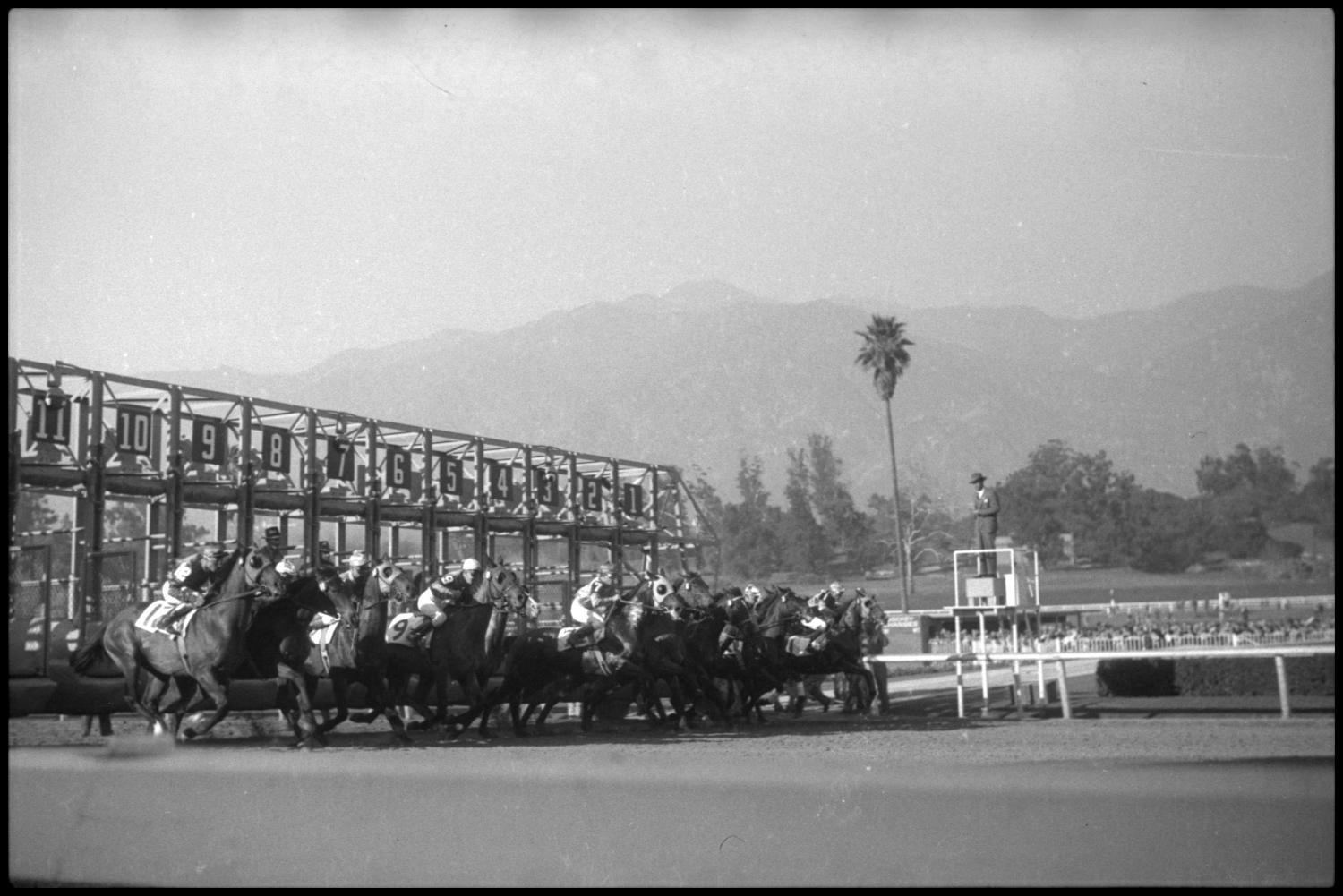 [Photograph of Horse Race]
                                                
                                                    [Sequence #]: 1 of 1
                                                