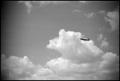 Photograph: [Photograph of an Airplane]
