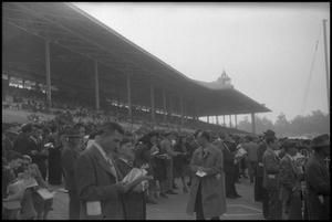 Primary view of object titled '[Photograph of Santa Anita Race Track]'.
