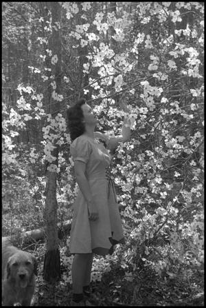 [Photograph of Woman and Dogwood Trees]