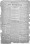 Primary view of The West News (West, Tex.), Vol. 42, No. 24, Ed. 1 Friday, November 13, 1931
