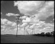 Photograph: Telephone Wires