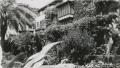 Photograph: [Photograph of Ivy-Covered House]