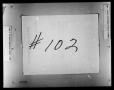 Thumbnail image of item number 2 in: 'Dallas County Probate Case 102: Carr, Wm. (Deceased)'.