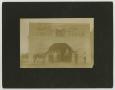 Photograph: [Photograph of Walker Brothers Livery Stable]