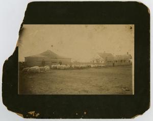 [Photograph of the Florence Farm]