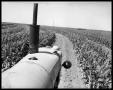 Photograph: Tractor in Field of Crops #1