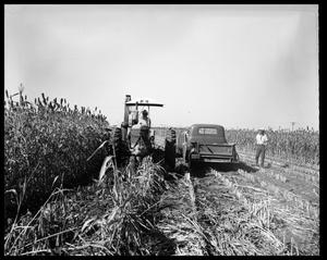 Farmer in Field with Tractor and Truck