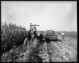 Photograph: Farmer in Field with Tractor and Truck