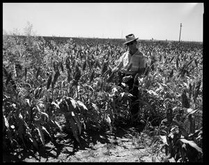Primary view of object titled 'Farmer with His Crops'.