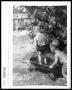 Thumbnail image of item number 1 in: '1940s Boys in Wagon'.