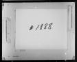Thumbnail image of item number 2 in: 'Dallas County Probate Case 1888: Arnoldt, Gotlieb (Deceased)'.