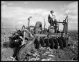 Photograph: Cotton Plowing