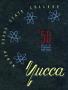 Thumbnail image of item number 1 in: 'The Yucca, Yearbook of North Texas State College, 1950'.