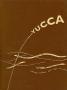 Thumbnail image of item number 1 in: 'The Yucca, Yearbook of North Texas State College, 1959'.