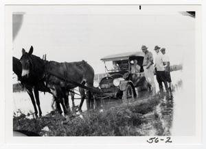 Primary view of object titled '[Mules Pulling Drowned Car From Flooded Road]'.
