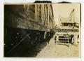 Thumbnail image of item number 1 in: '[Box Cars by Loading Chute]'.