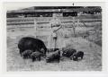 Photograph: [Clara Rude and Pigs]