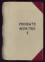 Thumbnail image of item number 1 in: 'Travis County Probate Records: Probate Minutes T'.