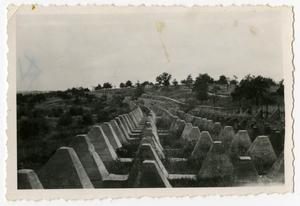 Primary view of object titled '[Photograph of Dragon's Teeth Fortifications]'.