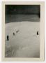 Photograph: [Photograph of Snow Skiers]