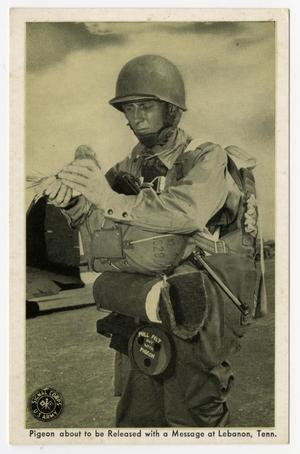 Primary view of object titled '[Postcard of Soldier with Pigeon]'.