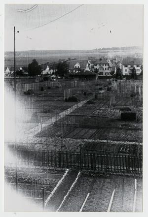 Primary view of object titled '[Photograph of Vegetable Gardens]'.