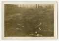 Photograph: [Photograph of Bodies in Landsberg Concentration Camp]