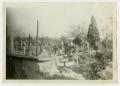 Photograph: [Photograph of Cemetery]