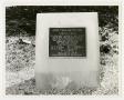 Primary view of [Photograph of 23rd Tank Battalion Memorial Stone]