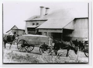 Primary view of object titled '[Cotton Gin with Mules and Wagon]'.
