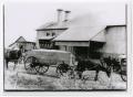 Thumbnail image of item number 1 in: '[Cotton Gin with Mules and Wagon]'.