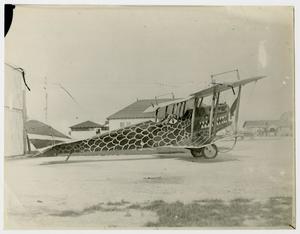 [Biplane Painted to Resemble a Dragon]