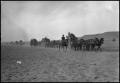 Primary view of [Army Wagon Train]