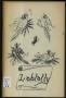 Thumbnail image of item number 1 in: 'Loblolly, Volume 6, Number 1, Summer 1978'.