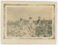 Thumbnail image of item number 1 in: '[Men in a Cotton Field]'.