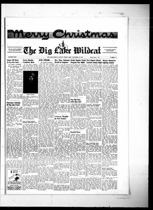 Primary view of object titled 'The Big Lake Wildcat (Big Lake, Tex.), Vol. 43, No. 51, Ed. 1 Thursday, December 19, 1968'.