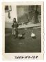 Photograph: [Photograph of German Woman and Geese]