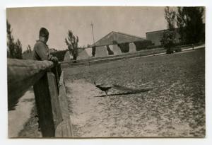 [Photograph of Soldiers and Peacock at Munich Zoo]