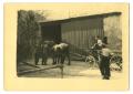Photograph: [Photograph of Horse-Drawn Wagon]